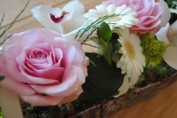 Garden Rose – Image 4